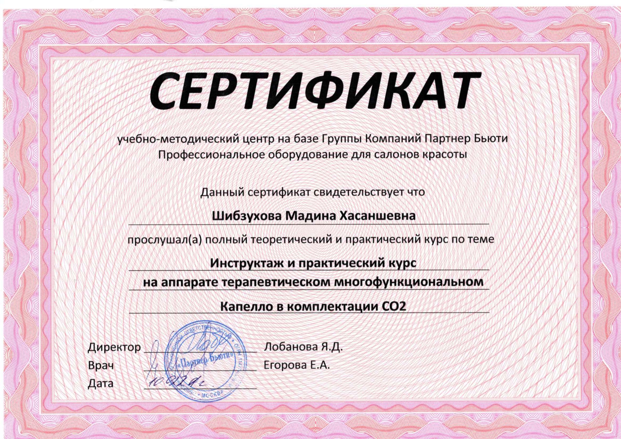 Сертификат Шибзухова1