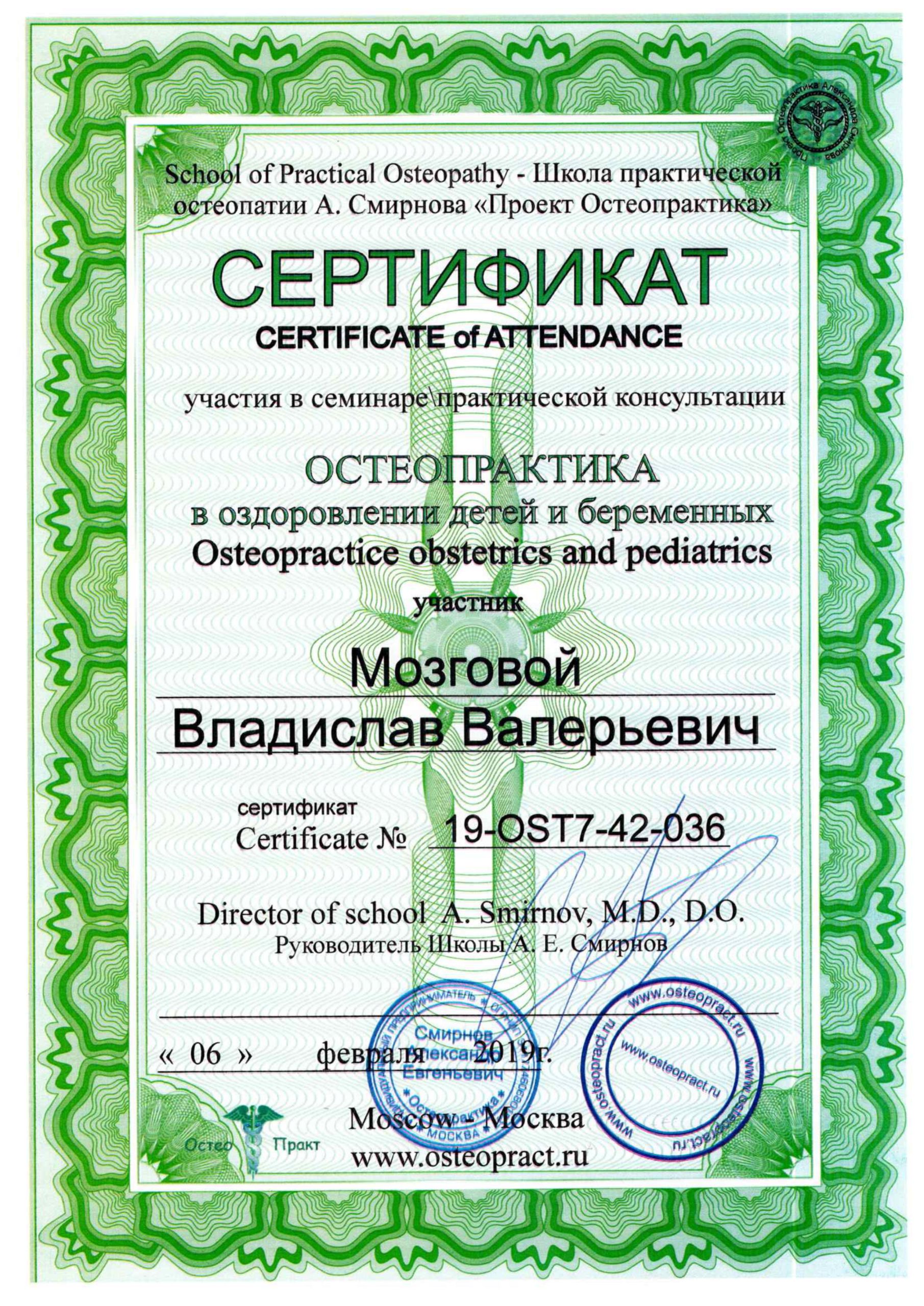 Сертификат Мозговой 5